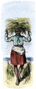 African American Prints: African-American woman carrying sheaves on a rice plantation