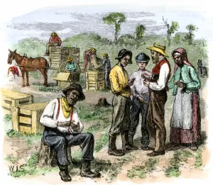 Black History Prints: African-American workers collecting pay after harvesting strawberries in