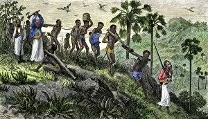 Death Gallery: African slave caravan on the march
