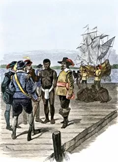 African American Collection: Africans brought to Jamestown as slaves, 1600s