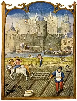 Work Gallery: Agriculture in the Middle Ages