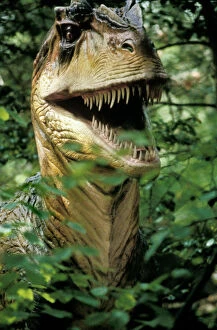 Extinct Animal Gallery: Allosaurus model