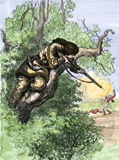 Shoot Prints: American marksman in a tree firing at British soldiers