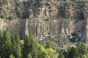 Cliff Dweller Prints: Anasazi/Ancestral Puebloan cliff-dwelling ruins in the Frijoles Canyon