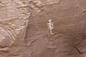 Pre Columbian Prints: Anasazi/Ancestral Puebloan petroglyph at White House ruins