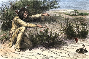 Hunting Prints: Apache hunter procuring poison for his arrows by causing a rattlesnake to bite
