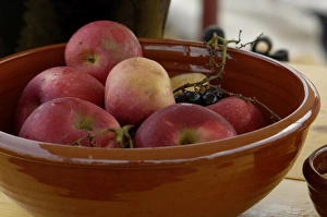 Apple Prints: Apples at a Continental Army camp reenactment
