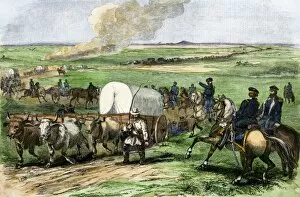 Oxen Collection: US Army expedition on the prairie, 1850s