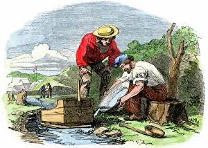 Mineral Collection: Australian Gold Rush prospectors, 1850s