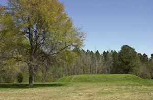 Pre Columbian Prints: Bear Creek Mound