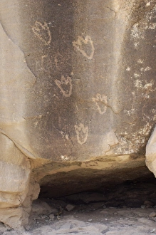 Pre Columbian Prints: Bear paw petroglyphs of the Anasazi/Ancestral Puebloans