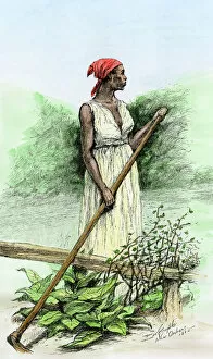 Female Gallery: Black slave on a sugar plantation