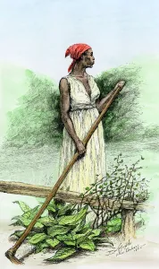 South Collection: Black slave on a sugar plantation