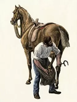 Blacksmith shoeing a horse
