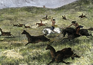 Latin America Gallery: Bola used for hunting in Argentina