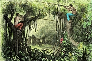 Hunting Prints: Brazilian natives hunting with poison blow-guns