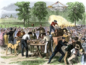 Cook Collection: Brennan Society picnic, New York City, 1800s