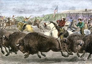 Buffalo Bill Codys Wild West Show hunting bison and elk