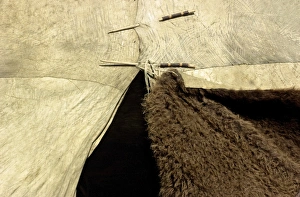 Lakota Sioux Gallery: Buffalo hide tipi of the Lakota Sioux
