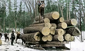 Timber Industry Gallery: BUSN2A-00095