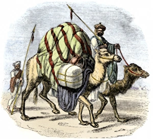 Africa Prints: Camel caravan loaded with goods