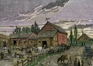 Canada Collection: Canadian farm on the frontier, 1800s