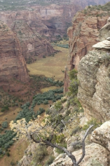 Canyon de Chelly, Arizona