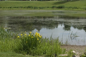 Images Dated 2007 June: 