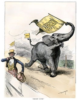 Presidential Election Collection: Cartoon of Benjamin Harrisons presidential candidacy
