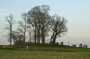 Cannon Gallery: Cemetery Ridge, Gettysburg