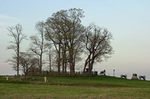 Memorial Gallery: Cemetery Ridge, Gettysburg