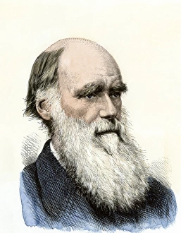 Science Prints: Charles Darwin. Hand-colored woodcut of a 19th-century portrait