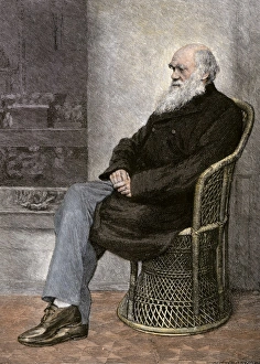 Science Prints: Charles Darwin seated in a wicker chair