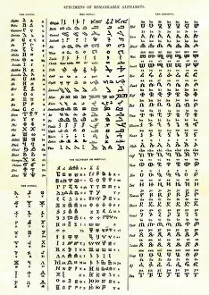 Images Dated 7th December 2011: Chart of some early alphabets