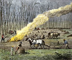 Rural Prints: Clearing farmland in spring for planting