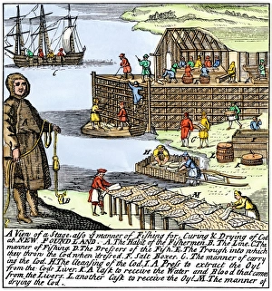 Fisherman Prints: Cod fishermen drying and salting fish on the Newfoundland coast