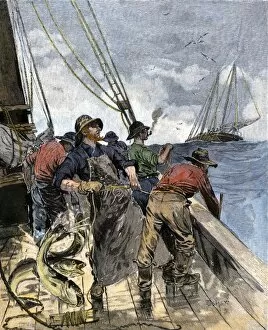 Fish Gallery: Cod fishing with hand lines, 1800s