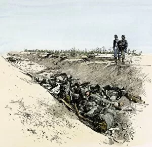 Sharpsburg Collection: Confederate dead in the Sunken Road, Antietam