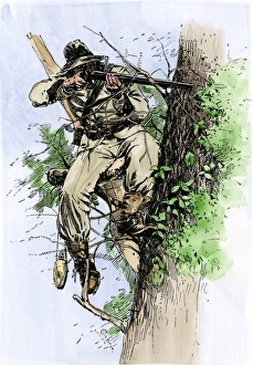 Confederate sharpshooter taking aim from his perch in a tree