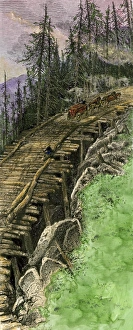 Vermont Collection: Corduroy road up a Vermont mountainside