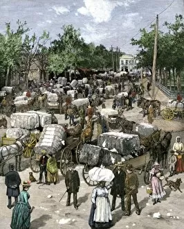 Farming Gallery: Cotton bales brought into a Georgia market town, 1880s