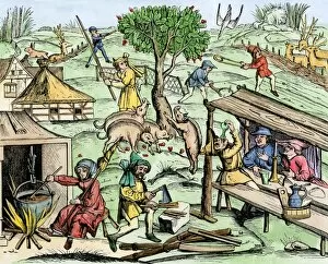 Rural Life Gallery: Country life in medieval Europe