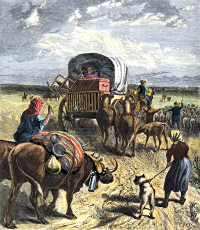 Wyoming Prints: Covered wagon of a homesteader family heading west with their belongings