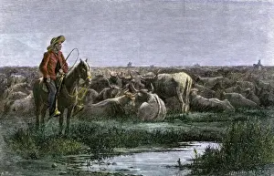 Horse Back Prints: Cowboys guarding the herd at night during a Texas to Kansas cattle drive 1800s