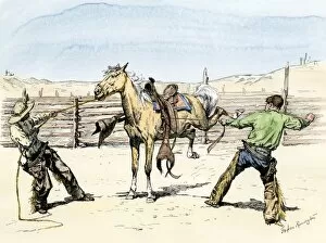 Arizona Gallery: Cowboys saddling a bronco, 1800s