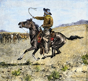 Cowhand rounding up cattle mixed in with the horse herd