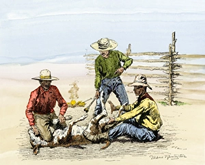 Three cowhands branding a calf, 1800s