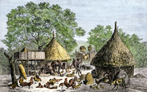 Daily life in an African village in the Congo basin