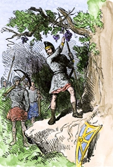 Discovery of grapes by Leif Erikssons expedition