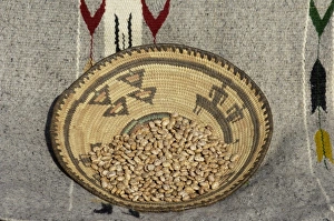 Dried Prints: Dried beans in a Native American basket